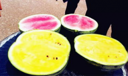 最新的吃瓜爆料是什么,神秘事件真相大揭秘！